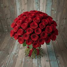 Букет 55 Красных роз Фридом #REPLACE_PRED# Журавской