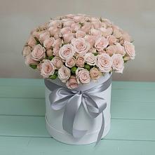 Цветочная композиция из Розы в шляпной коробке #REPLACE_PRED# Журавской