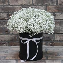 Цветочная композиция из Гипсофила в шляпной коробке #REPLACE_PRED# Журавской