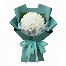 Букет цветов из:  Гортензия #REPLACE_PRED# Журавской